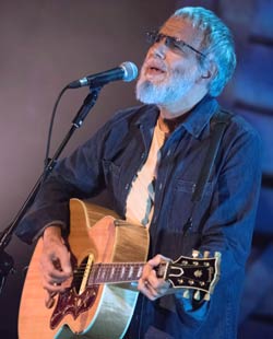 mejores guitarristas cat stevens